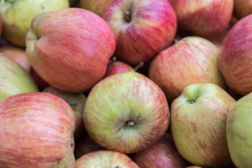 Green red new apples for sale at city market