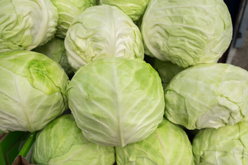 Organic cabbage sold at farmers market