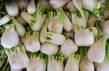 Foeniculum or fennel sold at farmers market