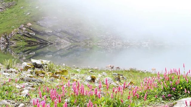 View of a glacial lake that surrounded by seven mountain peaks with flowers and foggy at Hemkund Sahib the Sikh place of worship and pilgrimage site in the Himalayas Chamoli district Uttarakhand India
