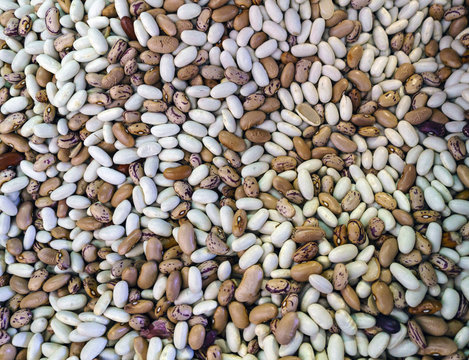 Close-up of beans of different colors (brown and white) for sale at the market called Do Bolhao in Porto, Portugal