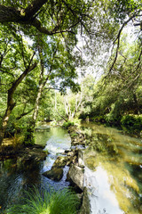 Fototapeta premium Small natural dam in the mountain river called Anllons. With banks covered with oaks, typically Atlantic forest in Galicia, Spain