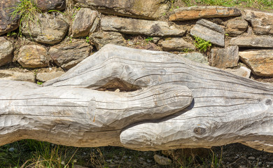 wooden bench in the tree trunk