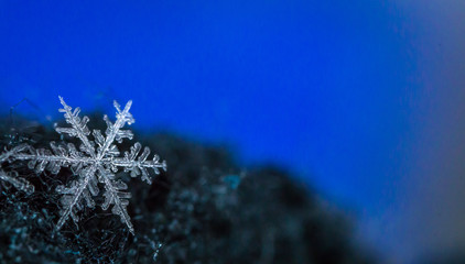 Beautiful detail of a snowflake, a single ice crystal in Paris winter, falls through the Earth's atmosphere as snow. Shining hexagonal crystals shape, used as a symbol of snow or crystal in science