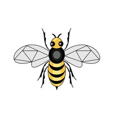 bee icon vector