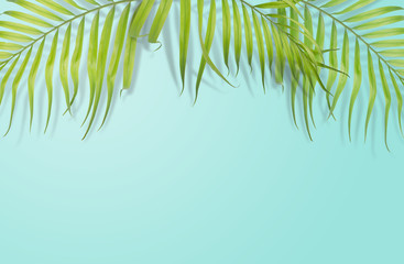 Fototapeta na wymiar Tropical palm leaves on light blue background. Minimal nature. Summer Styled. Flat lay. Image is approximately 5500 x 3600 pixels in size
