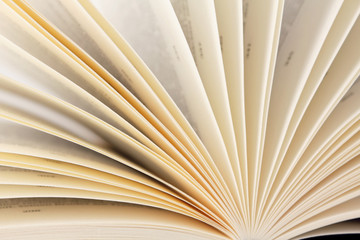 Close up of an open book.