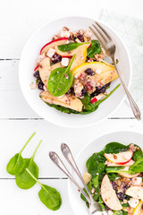 Healthy fruit and berry salad with fresh apples, cranberries, walnuts, italian ricotta cheese and spinach leaves. Delicious and nutritious diet dish for breakfast. Salad bowls on white