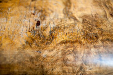 Old wooden texture