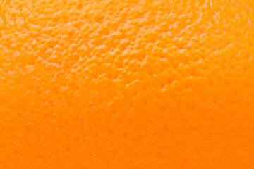 citrus peel, orange, abstract background