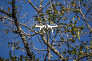 drone hover on the sky  survey in the forest