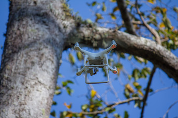 drone hover on the sky  survey in the forest