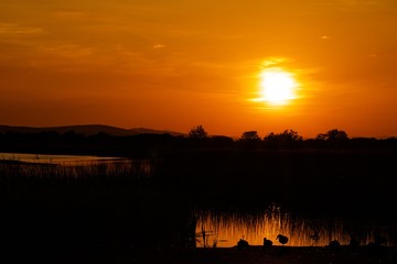 A dramatic sunset with some ducks standing on a pier