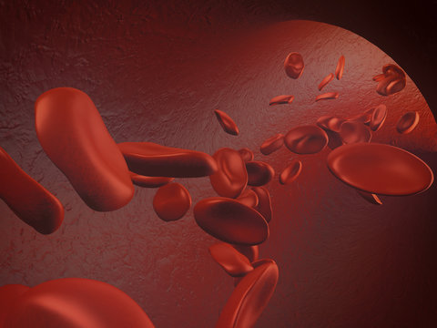 Red blood cells flowing inside vessels - 3D illustration