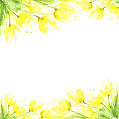 yellow tulips watercolor bouquet isolated on white background. Watercolor card, invitation, label. Spring flowers, art illustration.