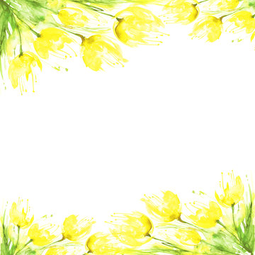 Fototapeta yellow tulips watercolor bouquet isolated on white background. Watercolor card, invitation, label. Spring flowers, art illustration.