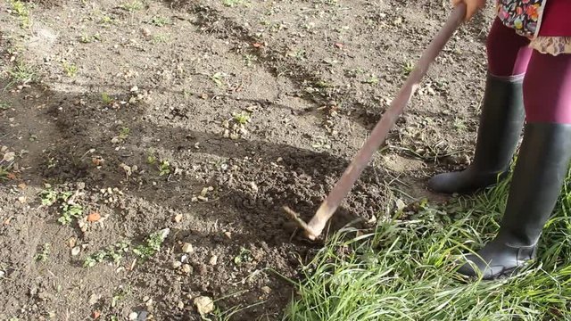 preparing the soil in springtime for seedlings