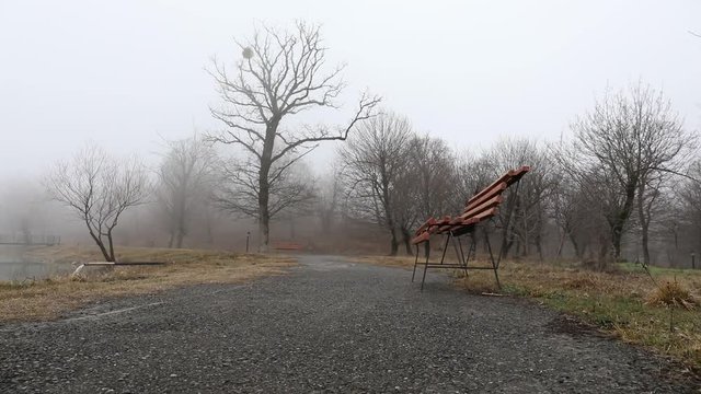 Slider shot. Empty bench at park near pond by foggy day, minimalistic cold season scene. bench at the lake in the fog in the forest. Bench near lake with fog. Azerbaijan Nature. Caucasus