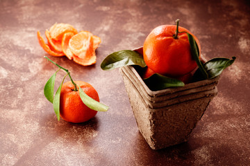 clementine im pappbecher