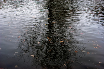 Auf dunklem Wasser treibende Blätter im Herbst