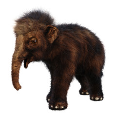Fototapeta premium 3D Rendering Baby Woolly Mammoth on White