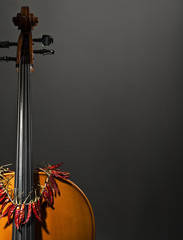 violoncello, cello with hot pepperoni necklace