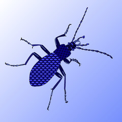 ground beetle in a zenart style, blue beetle on a blue background