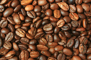 Roasted coffee beans