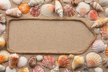 Pointer, sign made of rope among the seashells on the sand. With a place for your text.