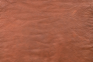 Coarsely granular texture brown natural leather. Brown leather, texture close-up.