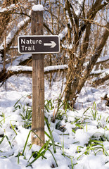 Nature trail sign on a hiking path in a snow covered forest