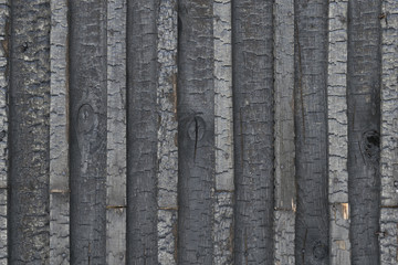Wooden texture close-up. A dark old tree. Burnt wood. Vertical stripes.