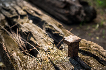 The old railroad tie with old nail in morning sun