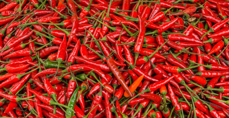 bright red chili peppers for sale in market 