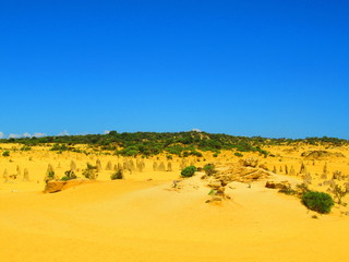 Pinnacles Desert in Australia