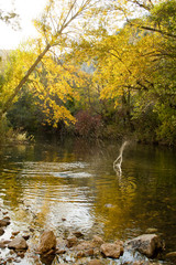 River´s shore in autumn.