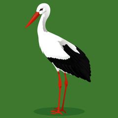 White stork cartoon bird