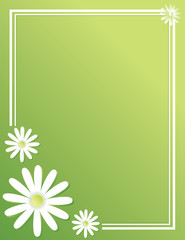 Green Background with Daisy Frame