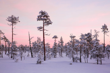 Winterlandschaft im Abendlicht in Schweden © Kathrin