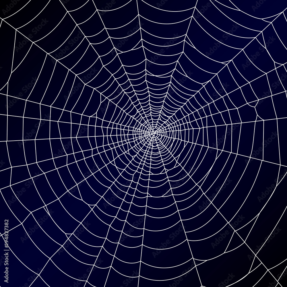 Poster Spider web background - stock vector