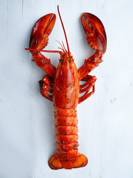 rustic cooked lobster