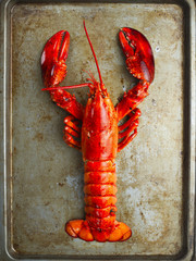 rustic cooked lobster