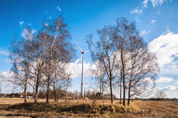 wind turbines standing in the field on a sunny winter day