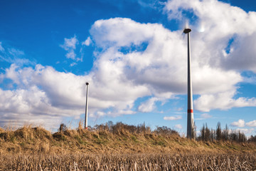 wind turbines standing in the field on a sunny winter day