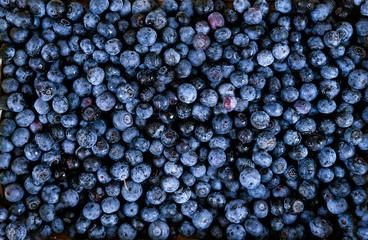 Flat lay of fresh blueberry