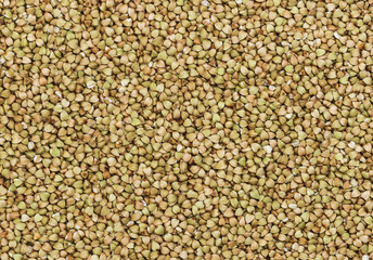 Green buckwheat texture