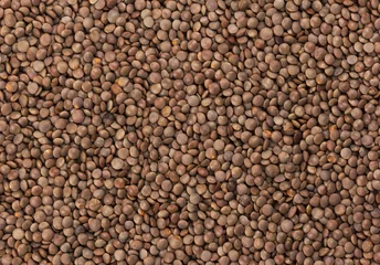 Poster Brown lentils texture © xamtiw
