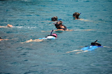 People snorkeling.