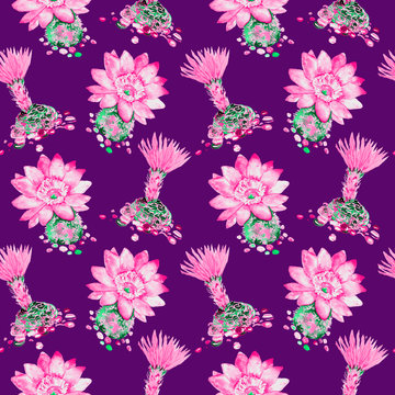 Cactus with pink flowers, stones around, seamless pattern design, hand painted watercolor illustration, dark purple  background