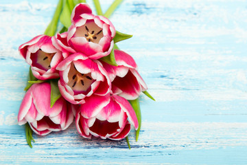 Fototapeta na wymiar Pink tulip bouquet on blue wooden background, copy space. Beautiful flowers